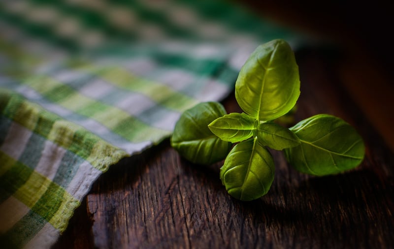 Elven Herbs